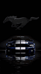 pic for Ford Mustang